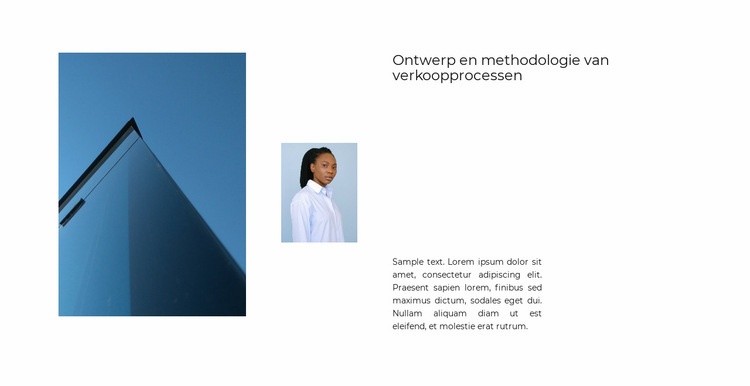 Hoofdarchitect Website ontwerp