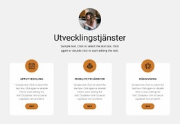 Programvara - Vacker Färgsamlingsmall
