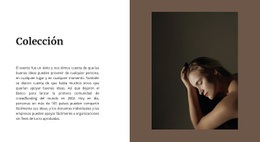 Colección De La Casa De Moda: Maqueta De Sitio Web Definitiva