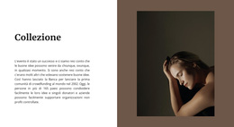 Collezione Della Casa Di Moda - Funzionalità Tema WordPress