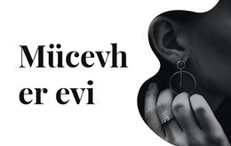 Gümüş Mücevher - Yaratıcı Çok Amaçlı WordPress Teması