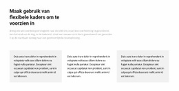 Drie Kolommen Met Tekst - Professioneel Ontworpen