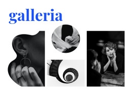 Il Miglior Design Del Sito Web Per Galleria Di Foto Insolite