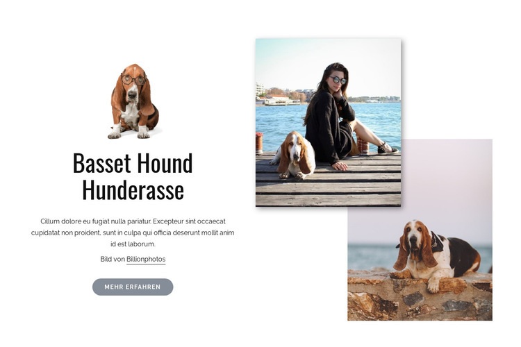 Basset Hound Hund Eine Seitenvorlage