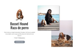 Perro Basset Hound - Plantillas De Sitios Web Adaptables