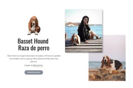 Perro Basset Hound Plantilla De Formulario CSS