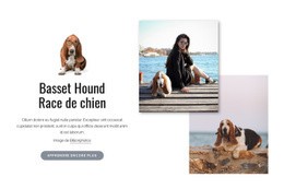 Chien De Basset - Conception De Sites Web Gratuite