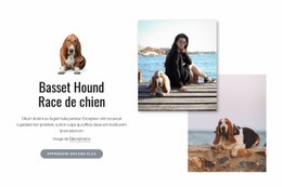 Chien De Basset - Page De Destination Moderne