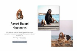 Gratis Webontwerp Voor Basset Hound Dog