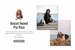 Pies Basset Hound - HTML Website Creator