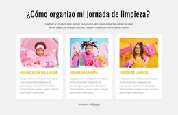 Tema De WordPress Multipropósito Para Mi Dia De Limpieza