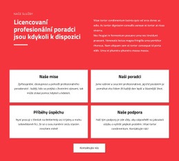 Profesionální Poradci – Bezplatné Šablony Motivů Html5