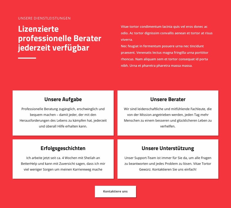 Professionelle Berater Website-Modell