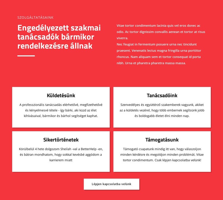 Profi tanácsadók HTML Sablon