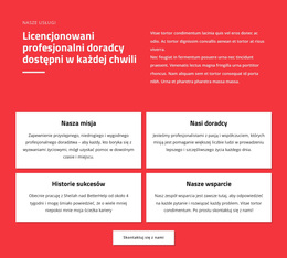 Profesjonalni Doradcy - Premium Motyw WordPress
