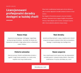 Profesjonalni Doradcy - Responsywne Szablony Stron Internetowych