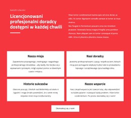 Responsywny HTML5 Dla Profesjonalni Doradcy