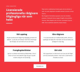 Professionella Rådgivare - Modern Webbplatsdesign