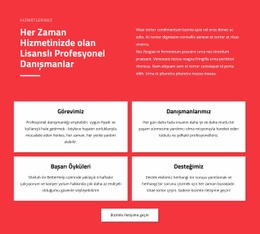 Profesyonel Danışmanlar Google Hızı