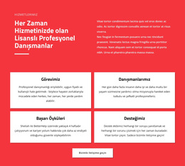 Profesyonel Danışmanlar