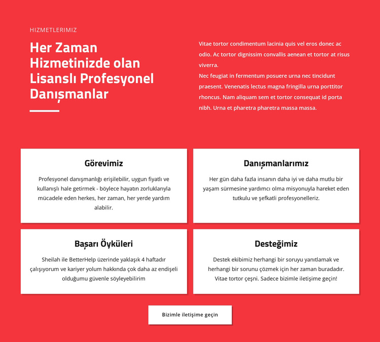 Profesyonel danışmanlar WordPress Teması