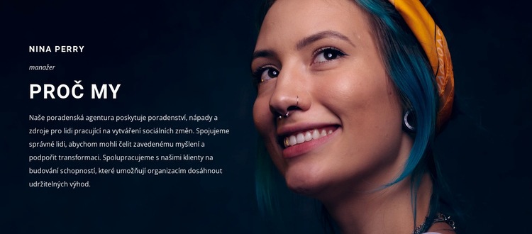 Proč nás vybrat Téma WordPress