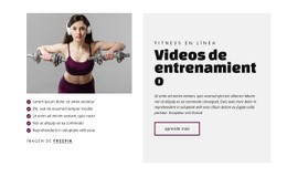 Página HTML Para Videos De Entrenamiento