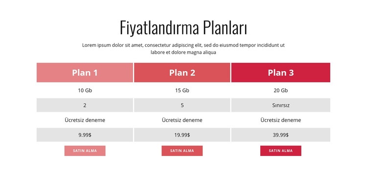 Fiyatlandırma Planı Web sitesi tasarımı