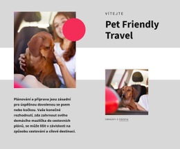 Šablona CSS Pro Cestování Přátelské K Domácím Zvířatům