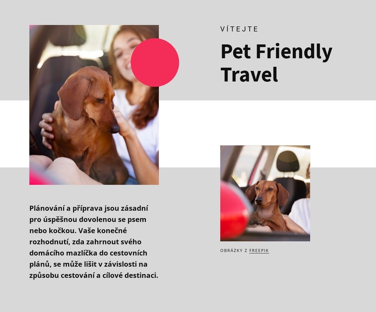 Cestování přátelské k domácím zvířatům Šablona webové stránky