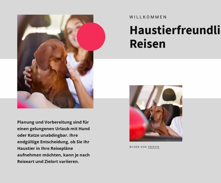 Haustierfreundliches Reisen Website-Modell