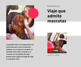 Diseño Del Sitio Para Viajes Que Admiten Mascotas