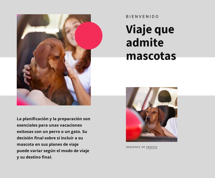 Viajes que admiten mascotas Maqueta de sitio web