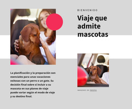 Plantilla CSS Para Viajes Que Admiten Mascotas