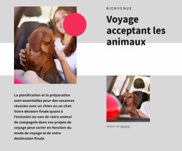 Conception Du Site Pour Voyage Acceptant Les Animaux