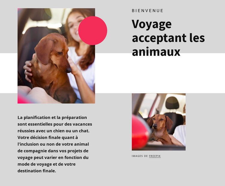 Voyage acceptant les animaux Maquette de site Web