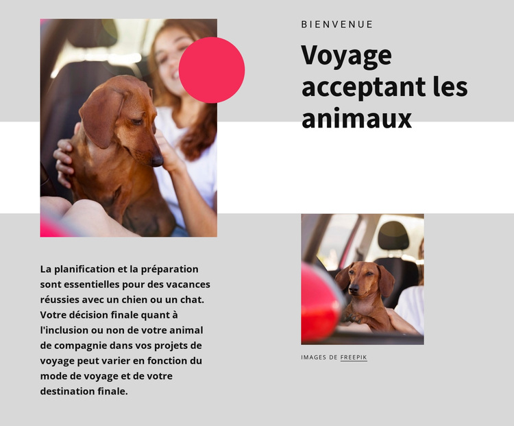 Voyage acceptant les animaux Thème WordPress