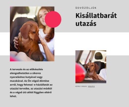 Css-Sablon Ehhez: Kisállatbarát Utazás