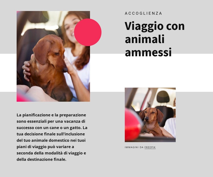 Viaggio con animali domestici Costruttore di siti web HTML