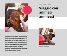 Progettazione Del Sito Per Viaggio Con Animali Domestici