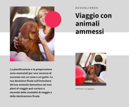 Il Mockup Del Sito Web Più Creativo Per Viaggio Con Animali Domestici