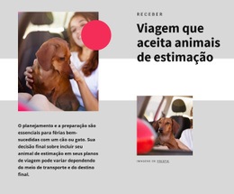 Viagens Para Animais De Estimação