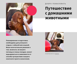 Путешествие С Домашними Животными – HTML-Верстка Сайта