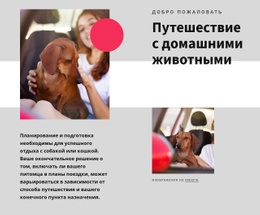 Самый Креативный Макет Веб-Сайта Для Путешествие С Домашними Животными