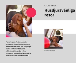 Husdjursvänliga Resor - Gratis Webbplatsmall