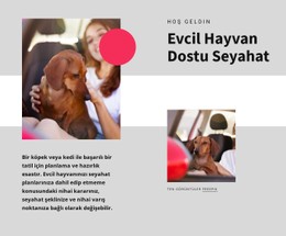 Evcil Hayvan Dostu Seyahat Için Sayfa HTML'Si