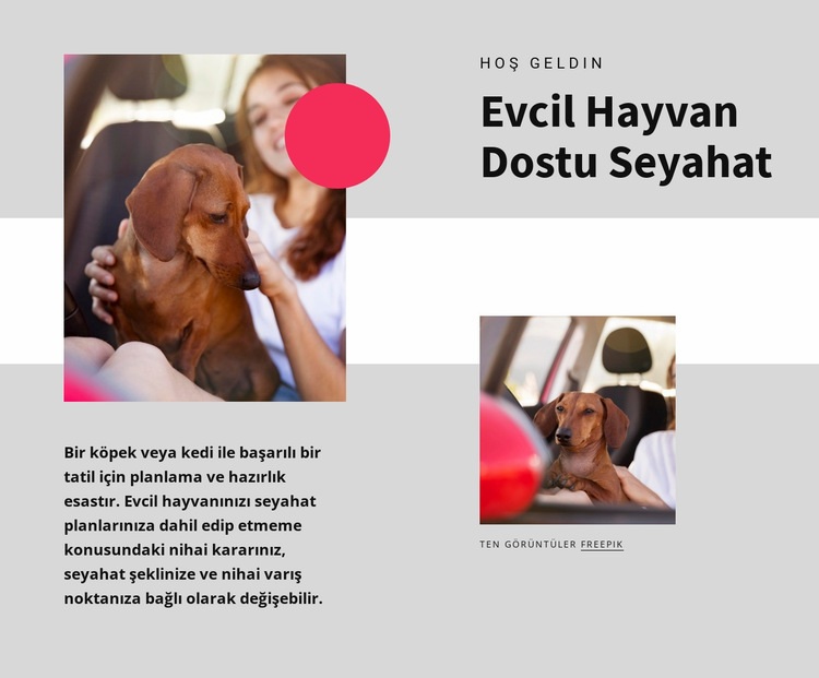 Evcil hayvan dostu seyahat HTML5 Şablonu