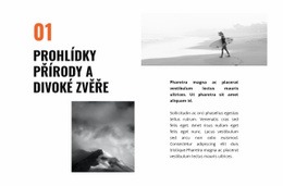 Cestování Divokou Zvěří – Bezplatné Šablony