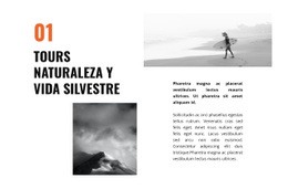 El Mejor Diseño De Sitio Web Para Viajes De Vida Silvestre