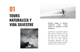 Viajes De Vida Silvestre: Plantilla De Sitio Web Adaptable